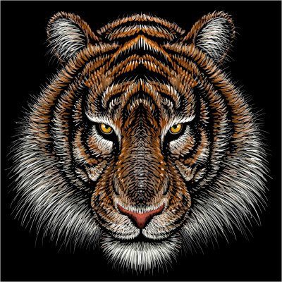 постеры Портрет тигра