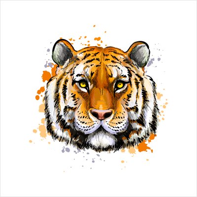 постеры Голова тигра