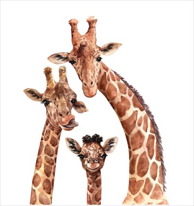 постеры Семья жирафов