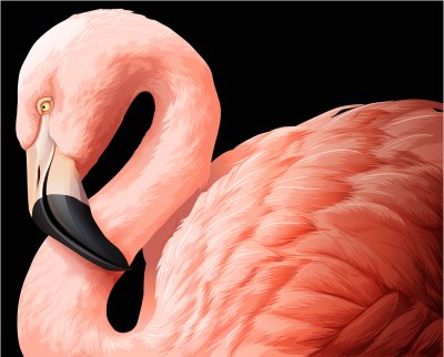 постеры Фламинго