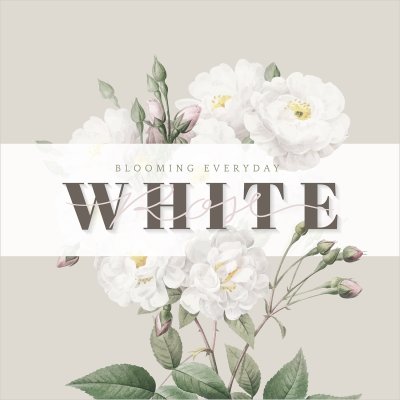постеры Белые розы