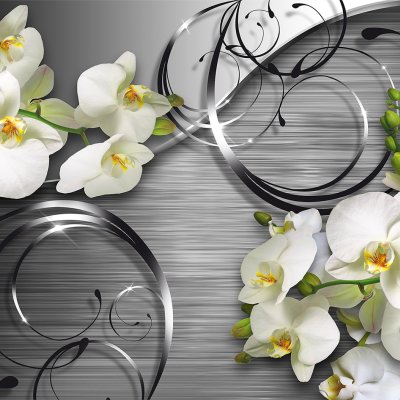 фотообои Стерео орхидеи