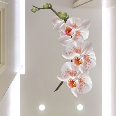 наклейки Персиковая орхидея