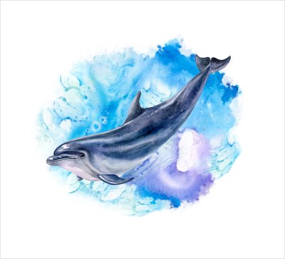 постеры Дельфин