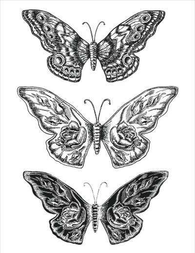 постеры Три бабочки