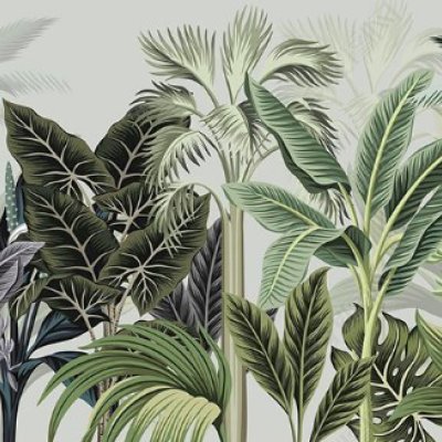 фотообои Зеленые пальмы