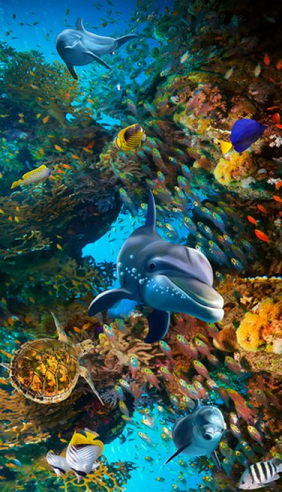 фотообои Рифовые дельфины