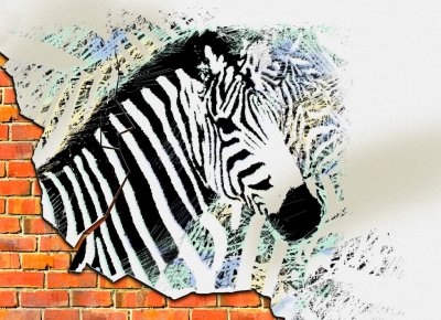 фотообои Граффити зебры