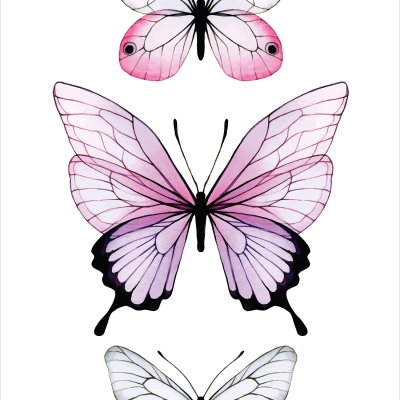 постеры Невесомые бабочки
