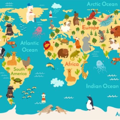 фотообои Живая карта мира