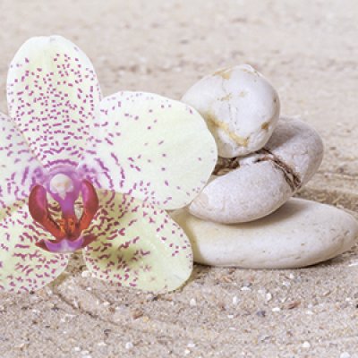 фотообои Воздушные орхидеи